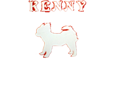 KENNY　わんちゃんお洋服ブランド